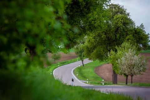 Empty road passing through agriculture fields Stock Photos