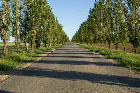 Empty road to perspective in summer day Foto stock