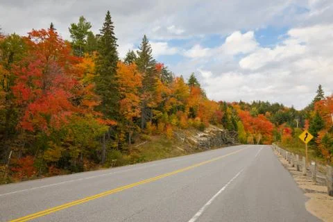 Empty road Stock Photos