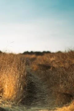 A empty road Foto stock