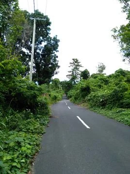 Empty Road Stock Photos