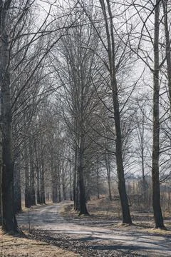 Empty road Stock Photos