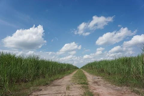 Empty road Stock-Fotos