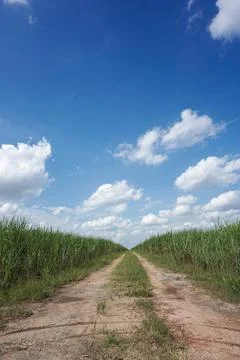 Empty road Stock Photos