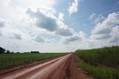 Empty road Foto stock