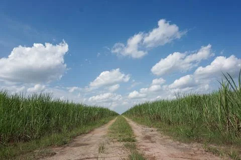 Empty road Stock Photos