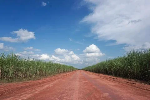 Empty road Stock Photos