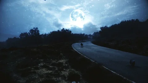 Empty road with ravens under the full moon light Stock Footage 97939790