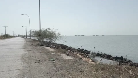 Empty road by the river Stock Footage 236146110