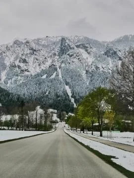 Empty road to the snow-capped Alps Stock Photos