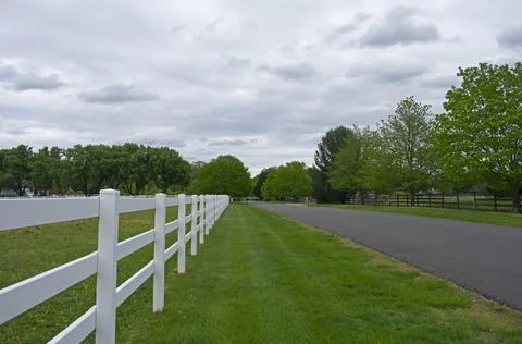Empty Road in Springtime Stock Photos