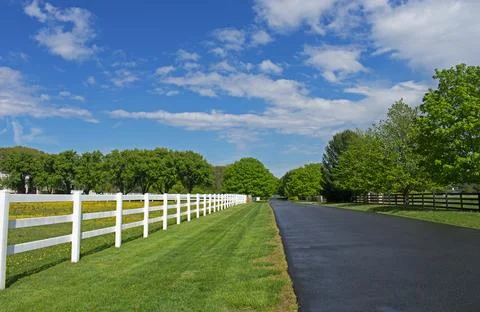Empty Road in Springtime Stock Photos