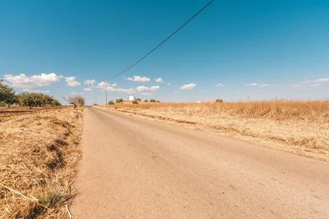Empty road stretching through dry fields 스톡 사진