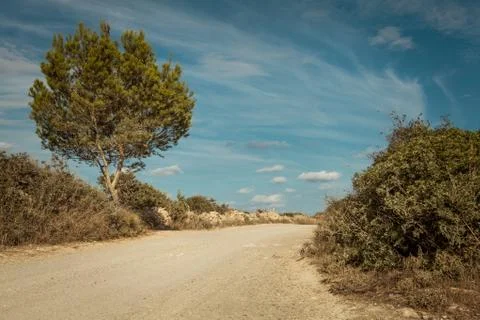 Empty road in sunlight blue sky destination Stock Photos