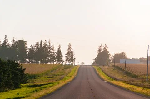 Empty Road at Sunset Stock Photos