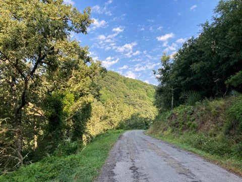 An empty road surrounded by the forest in the countryside of Spain. Stock Photos