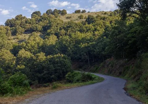An empty road surrounded by the forest in the countryside of Spain. Stock Photos