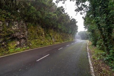 Empty road surrounded by rocks and trees, Tenerife, Anaga Stock Photos