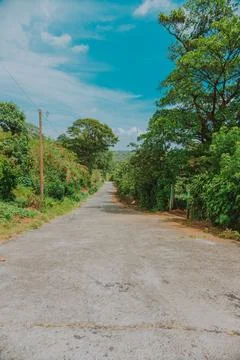 An empty road surrounded by vegetation. Small path surrounded by trees and .. Stock Photos