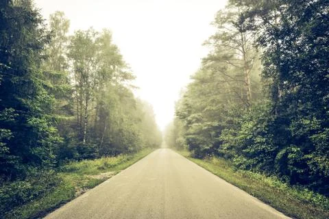 Empty road though forest Stock Photos