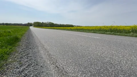 Empty road through fields, View over road and corn field in agricultural landsca Stock Footage 311026096