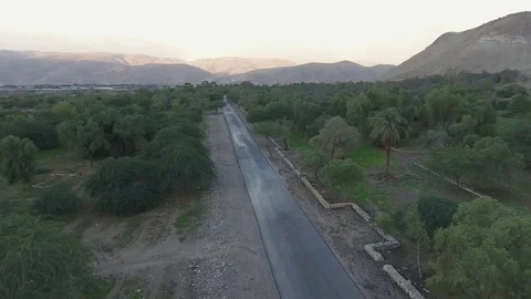 Empty Road Through Forest Stock Footage 70964128