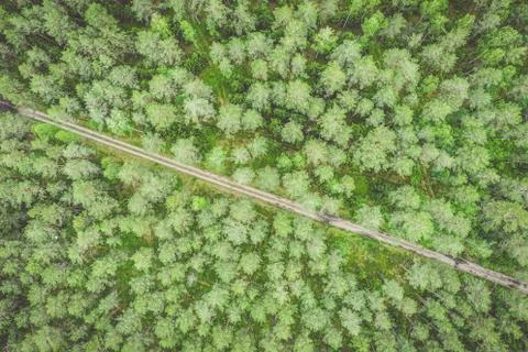Empty road through the forest top down aerial view Stock Photos