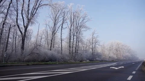 Empty road through frozen forest with frost covered trees at sunrise, 4K Stock Footage 326201596