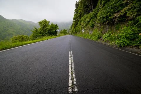 Empty road through the landscape of Flores Island, Azores Fotos Stock