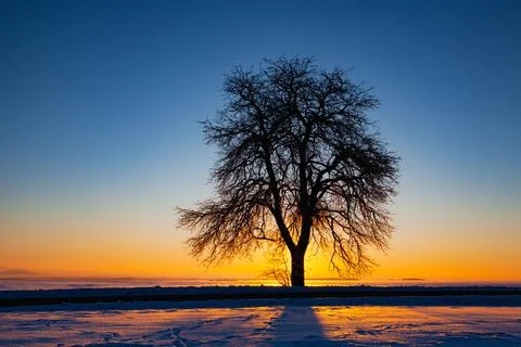 Empty road through snow-covered field after a blizzard at sunset. 库存照片