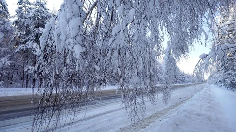 Empty road through snowy forest, frosty winter day Stock Footage 95219997