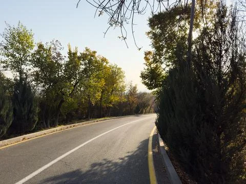 Empty road with trees at day, road outside the city A road with a white line Stock Photos