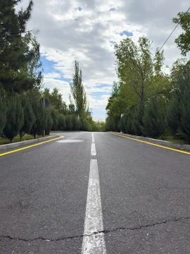 Empty road with trees, road outside the city A road with a white line down the Stock Photos