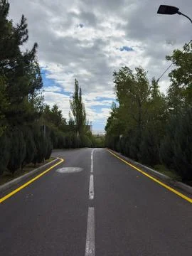 Empty road with trees, road outside the city A road with a white line down the Foto stock