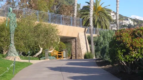 An empty road with trees on the side of a building Stock Footage 155583892