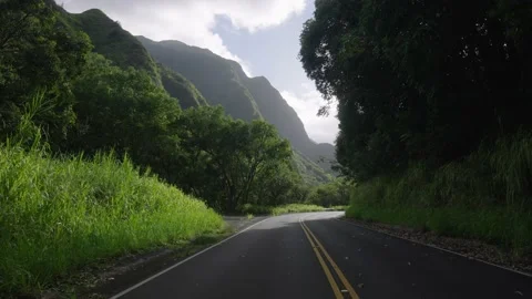 Empty road in vibrant tropical rainforest at Iao Valley Maui Hawaii. Stock Footage 141793992