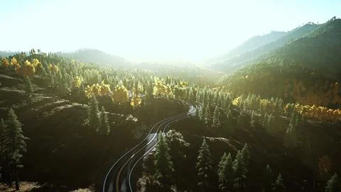 An empty road winding through a beautiful forest at sunset Stock Illustration