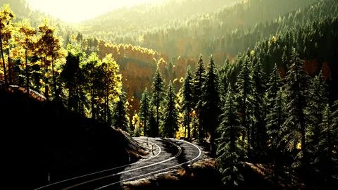 An empty road winding through a beautiful forest at sunset Stock Illustration
