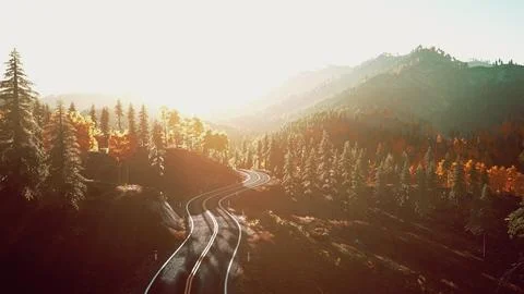 An empty road winding through a forest during a breathtaking sunset Stock Illustration