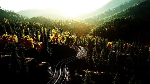 An empty road winding through a picturesque forest at sunset Stock Illustration