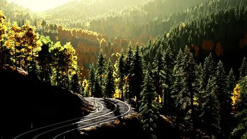 An empty road winding through a serene forest at sunset Stock Illustration