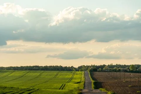 An empty roadway outside the city passes by a rural field and a blooming mead 스톡 사진