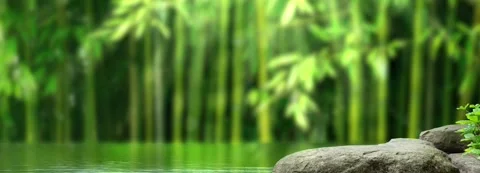 Empty rock in an idyllic green bamboo forest lake 動画素材 279916841