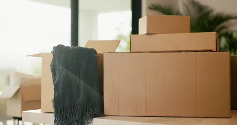 Empty, room and boxes with moving house for property relocation, expired lease Stock Footage 335265050