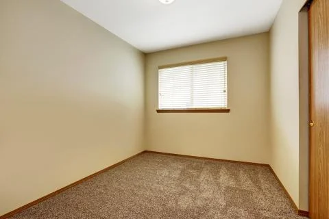 Empty room with brown carpet floor Stock Photos