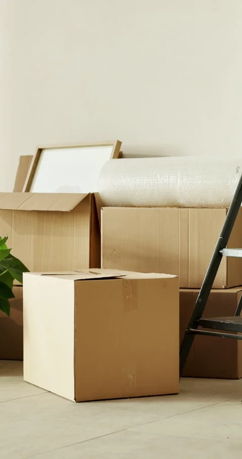 Empty room, house and boxes for moving, real estate and property investment for Stock Footage 336836877