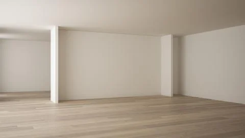 Empty room interior design, open space with white walls, modern style, parque イラスト素材
