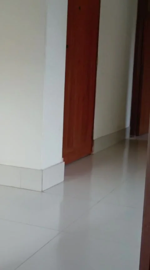 Empty room interior with white walls and wooden doors, modern home space Stock Footage 329927440