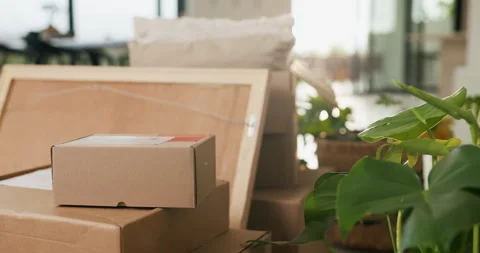 Empty, room or boxes for moving in new home for property investment, household Stock Footage 335267163