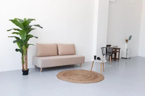 Empty room with sofa plant and round table Stock Photos
